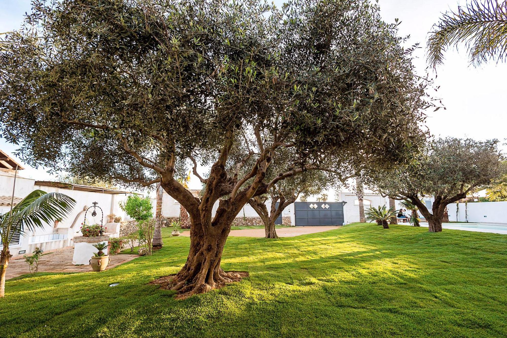 Apartamento Casa Marsala Exterior foto